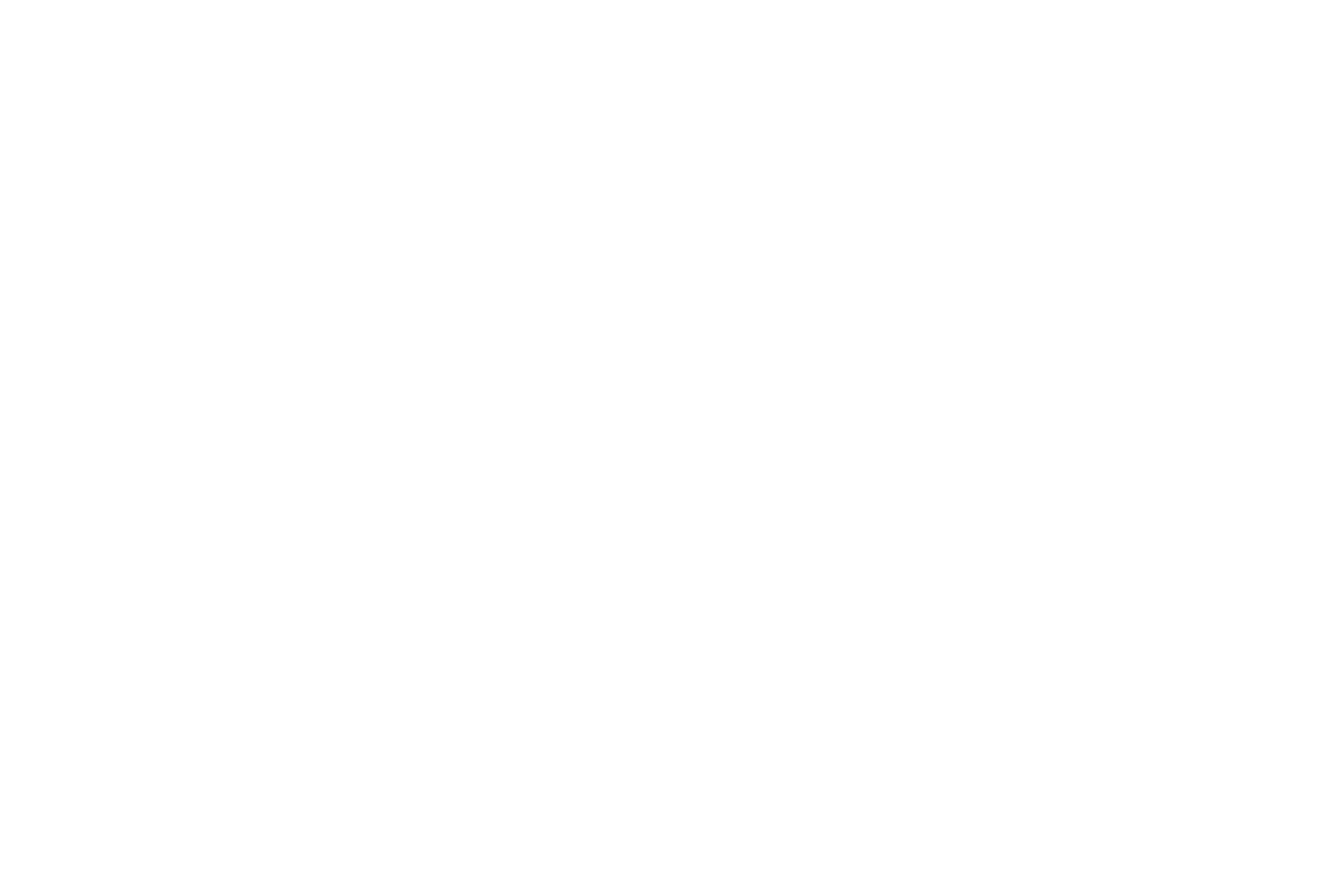Sadies Junk Removal